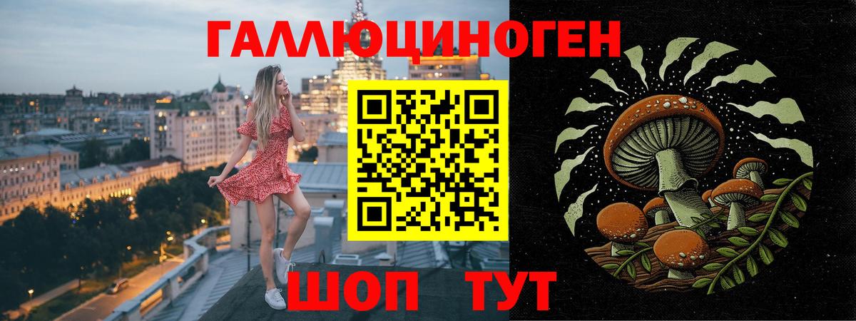 Воркута  Псилоцибиновые грибы Cubensis  Вход с VPN 