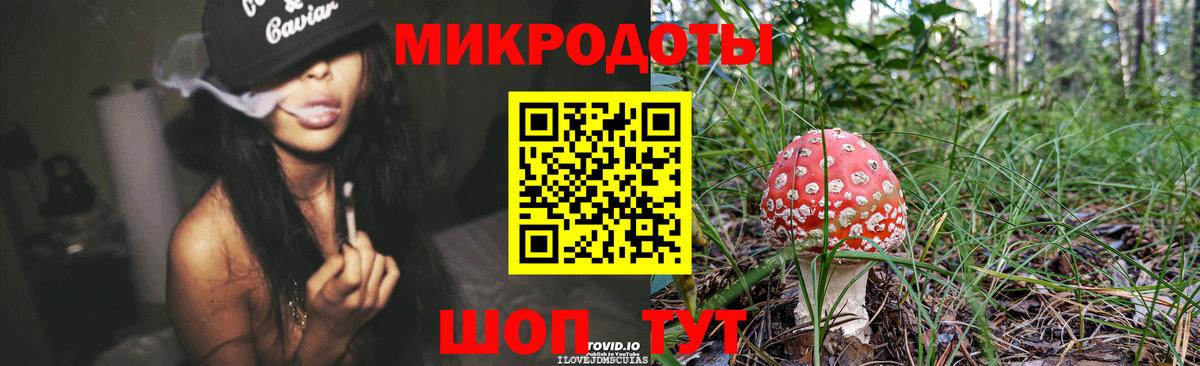 Псилоцибиновые грибы прущие грибы Воркута